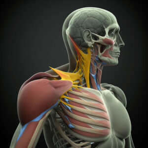 Lesión de hombro, tendinitis del supraespinoso